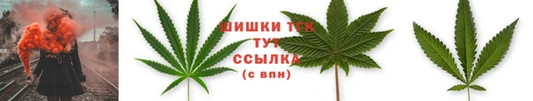 дмт Абаза