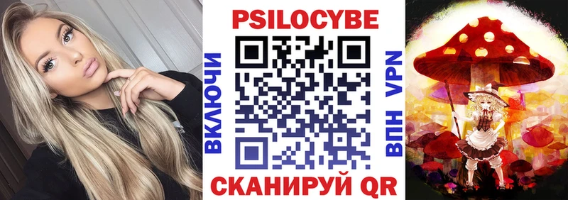 Галлюциногенные грибы Psilocybe  Заинск 