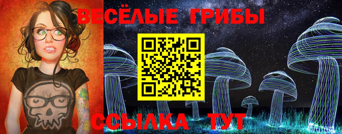 Галлюциногенные грибы Psilocybe  Вход с VPN  Галлюциногенные грибы Psilocybine cubensis  Заинск 
