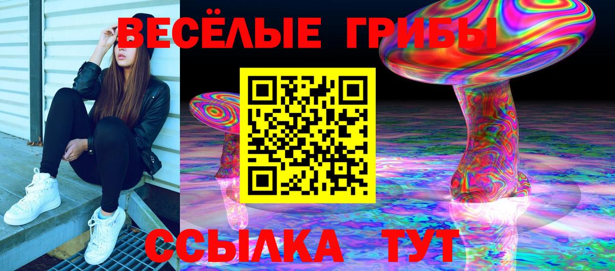 Галлюциногенные грибы прущие грибы Заинск